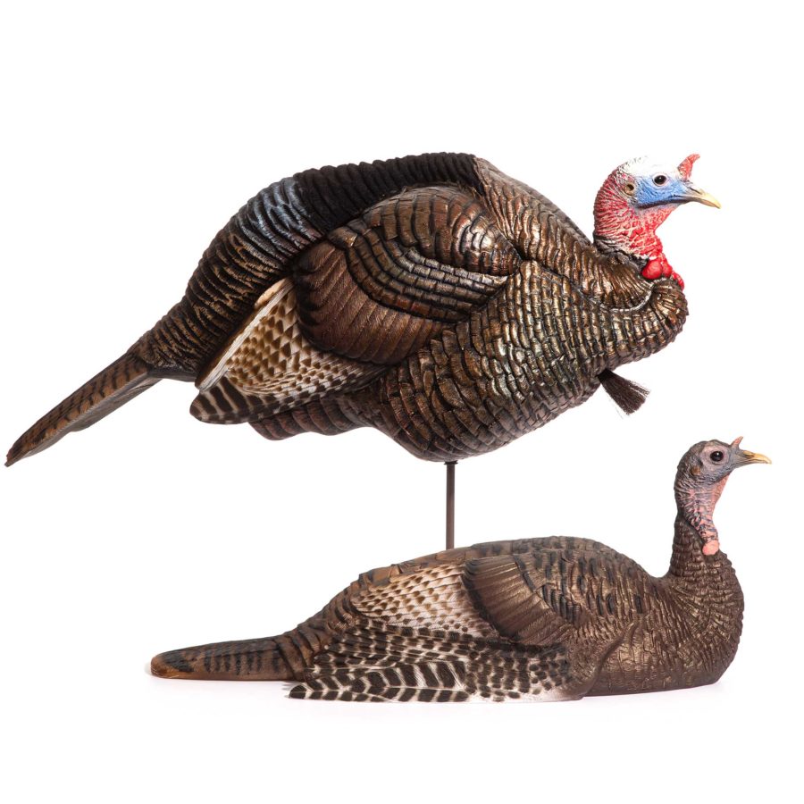 Dave Smith Decoys | Breeding Pair Turkey Decoys