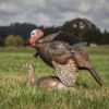 Dave Smith Decoys | Mating Motion Pair 3