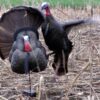 (NEW) STRUTT'N 360 XDR - Dave Smith Decoys Motion Bundle 4